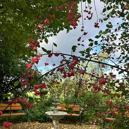 Sonnige Dachgeschoss-oase!